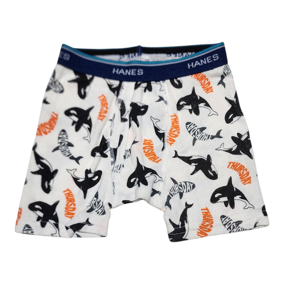 Hanes Boxer Briefs - Picture 3 of 4